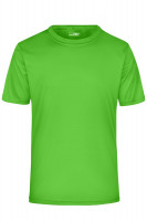 Lime (ca. Pantone 360C)