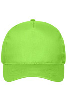 Lime (ca. Pantone 360C)